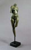 Coe Torso